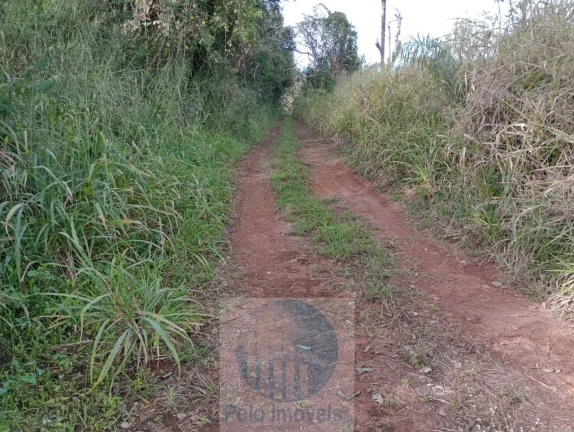Imagem Sítio vende 10 alqueires em Altinópolis - SP, terra de cultura, vermelha e em pasto.