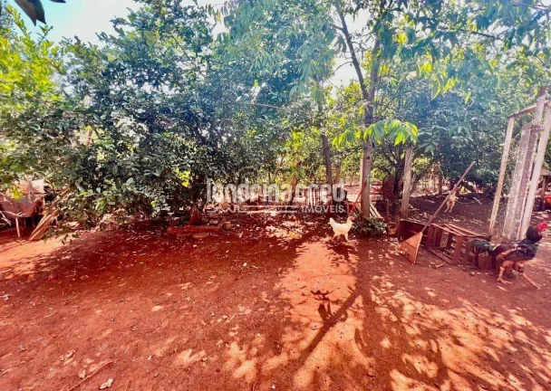 Imagem Chácara em Jataizinho com 1.575m² de terreno, 130m² construídos, casa com 2 suítes, 3 banheiros, sala, cozinha e fácil acesso à cidade!