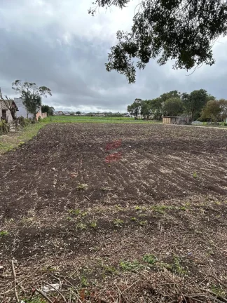 Imagem TERRENO à venda com 15924m² por R$ 6.370.000,00 no bairro Planta Santa Lúcia - PIRAQUARA / PR