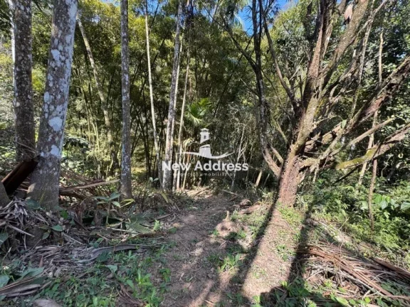 Imagem Terreno com nascente à venda em Soído de Cima - Domingos Martins
