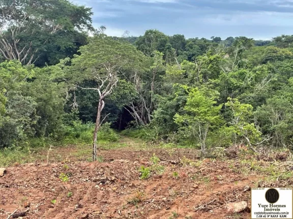 Imagem Chácaras Parceladas com Área Verde e o Rio Pirapitinga