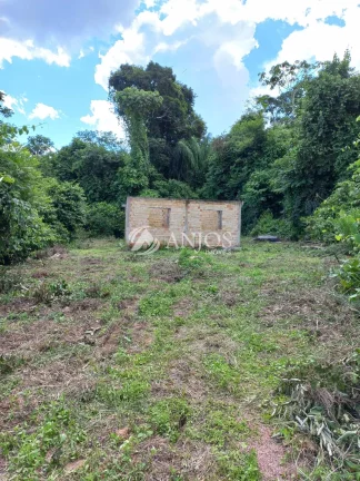 Imagem CHÁCARA DISPONVEL PARA VENDA, NO CANTINHO DO PESCADOR EM COLIDER - MT.