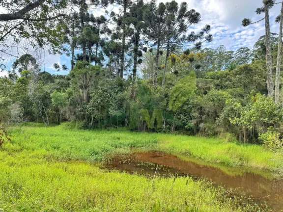Imagem Sítio à Venda em Atibaia – 54.000 m² a 5 km da Pedra Grande