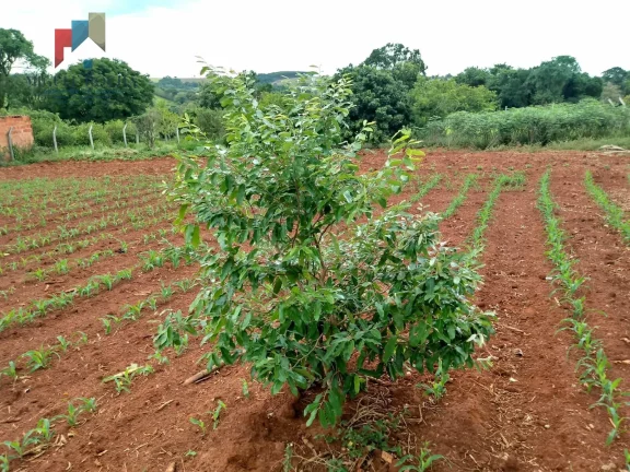 Imagem Terreno à venda no bairro bairro turvo - Tatuí/SP