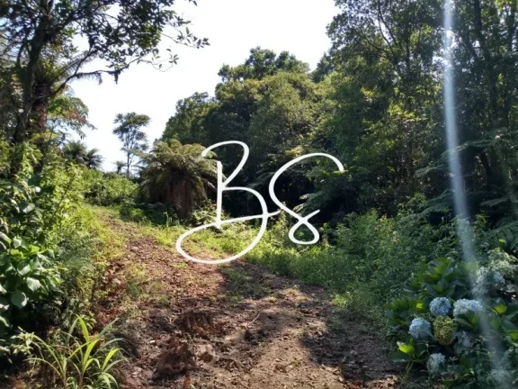 Imagem CHACARA RURAL em IGREJINHA - RS, Serra Grande