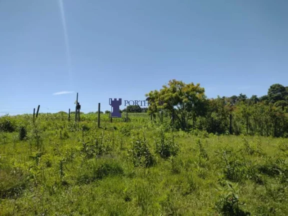 Imagem CHÁCARA COM 143.897M² NA REGIÃO DE BALSA NOVA