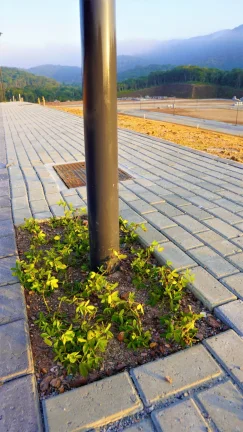 Imagem Terreno em Camboriú - Várzea do Ranchinho