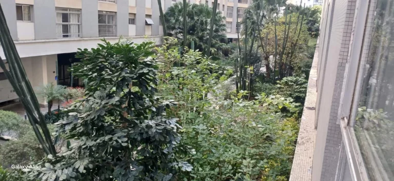 Imagem Apartamento com 3 dormitórios e vaga de garagem na Bela Vista