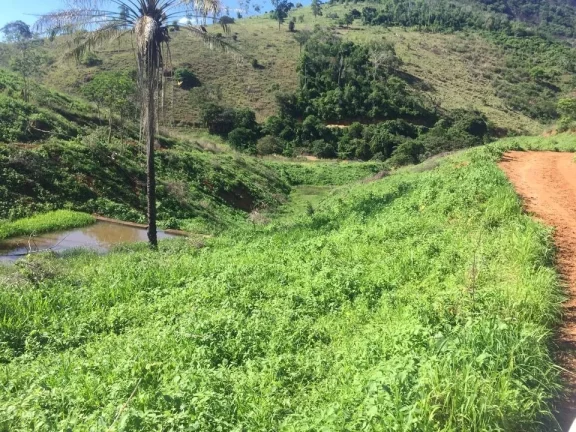 Imagem FAZENDA RURAL em COLATINA - ES, ÁREA RURAL DE COLATINA