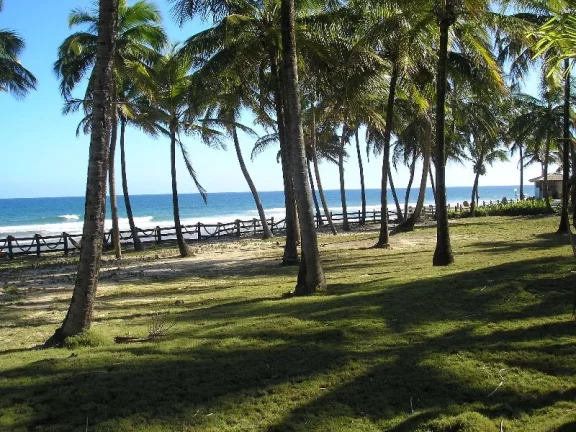 BUSCA VIDA - FRONTAL MAR - 26.392,00m2 DE ÁREA PLANA EM FRENTE AO CHARMOSO MAR DE BUSCA VIDA, PÉ NA AREIA. 100m DE TESTADA MAR