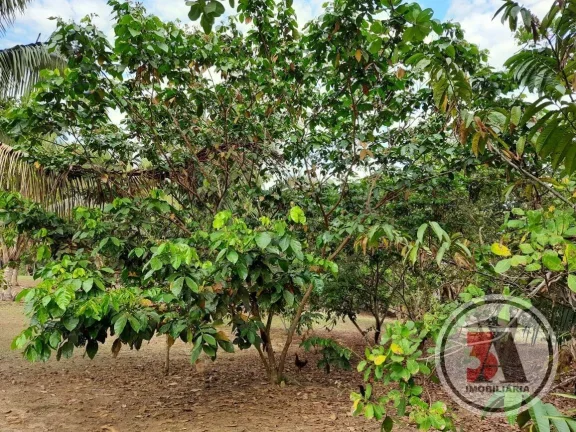 Imagem Sitio Estrada Belmont - 20.43 hectares