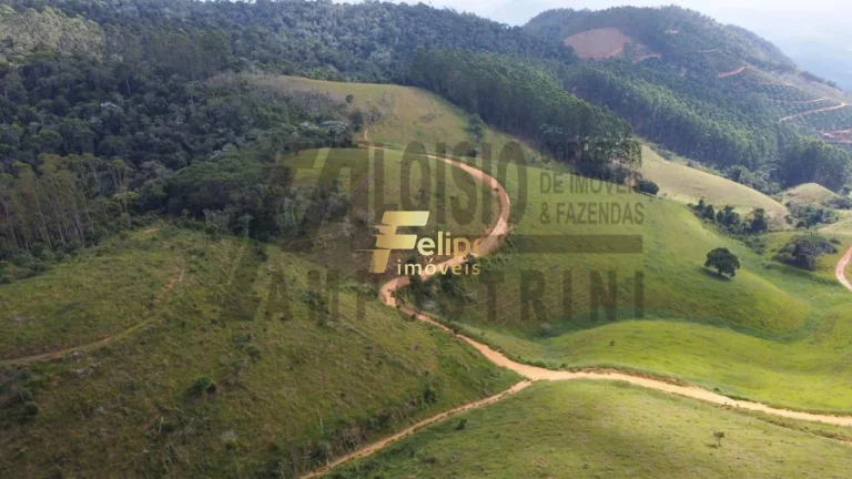 Imagem Vende-se uma incrível Fazenda de 80 alqueires, localizada a apenas 80 km de Colatina!