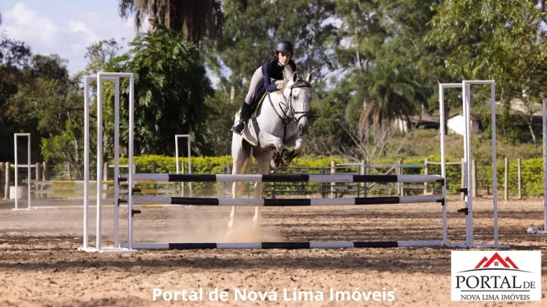 Imagem Área de 20.000 m² a venda em condmínio Fechado. - Lagoa, Quadra, Pista para Cavalo e muito mais para você e sua família