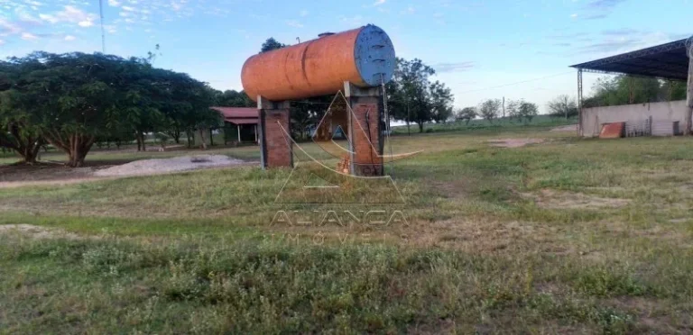 Imagem Fazenda - Guaraí - Guaraí