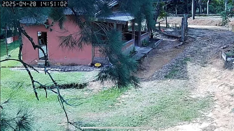 Imagem Chácara para Venda em São Pedro, --------------, 1 dormitório, 1 banheiro, 10 vagas