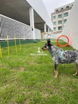 Imagem Apartamento 2 Quartos Sol da Manhã Pronto para Morar - Vila Velha