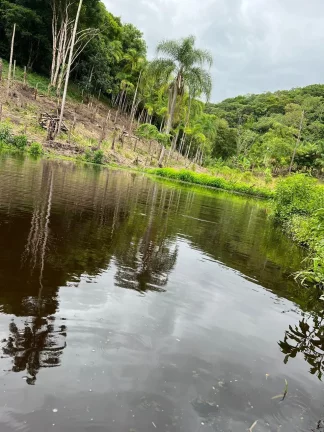 Imagem Sítio em Juquiá