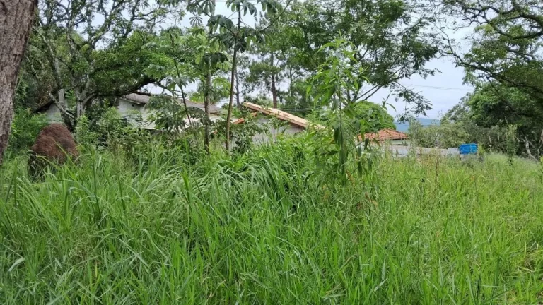Imagem Terreno à venda, 1100 m² por R$ 170.000,00 - Chácaras Santa Maria - Jacareí/SP