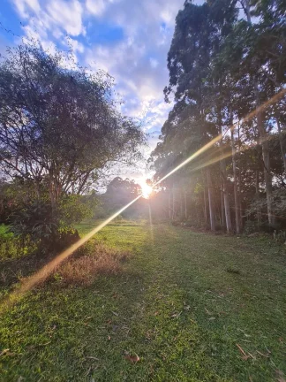 Imagem CHÁCARA DENTRO DA CIDADE - BAIRRO DO TURVO