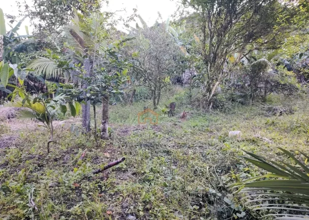 Imagem CASA RESIDENCIAL em JOINVILLE - SC, COSTA E SILVA