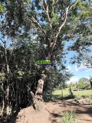 Imagem Chácara com córrego no meio 1 Alqueire e 5 Lts 100 kms de Goiânia