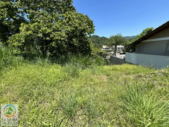 Imagem Lote/Terreno - Itoupavazinha - Blumenau