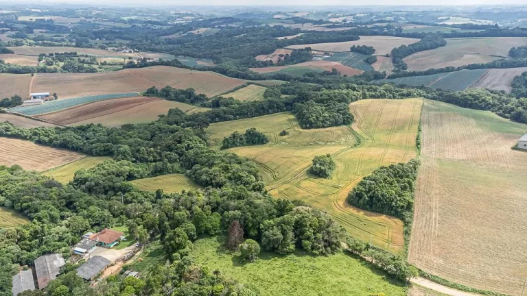 Imagem Chácara com 6 alqueires em Campo Magro