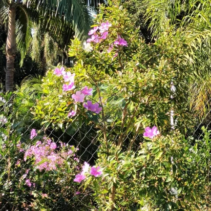 Imagem Terreno em Condomínio a Venda no bairro Granja Viana - Cotia, SP