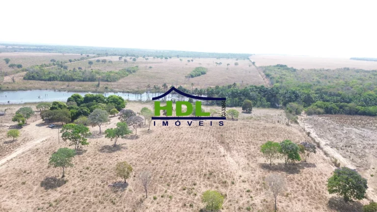 Imagem Fazenda de OPORTUNIDADE Dupla Aptidão em Peixe do Tocantins