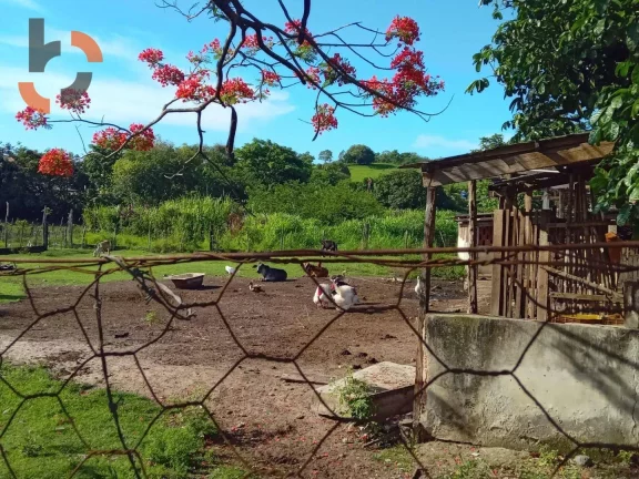 Imagem Sítio com 1 dormitório à venda, 36480 m² por R$ 3.000.000,00 - Santa Rosa - Queimados/RJ