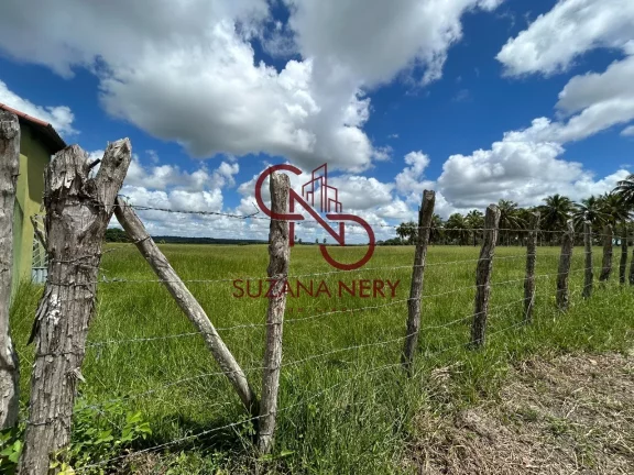 Imagem Fazenda residencial á venda em Nísia Floresta com 37 hectares