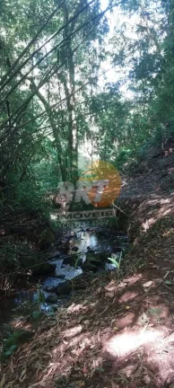 Imagem Sítio para Venda em São Roque, Ibate, 3 dormitórios, 3 suítes, 1 banheiro