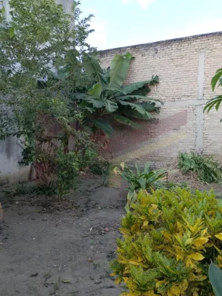 Imagem Casa 3/4 no Parque Ipe