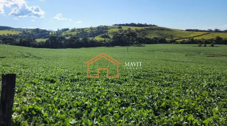 Imagem FAZENDA RURAL em CERRO NEGRO - SC, Interior