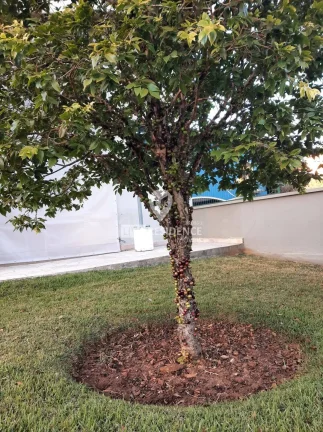 Imagem Casa á venda no Condomínio Parque São Gabriel Itatiba -SP