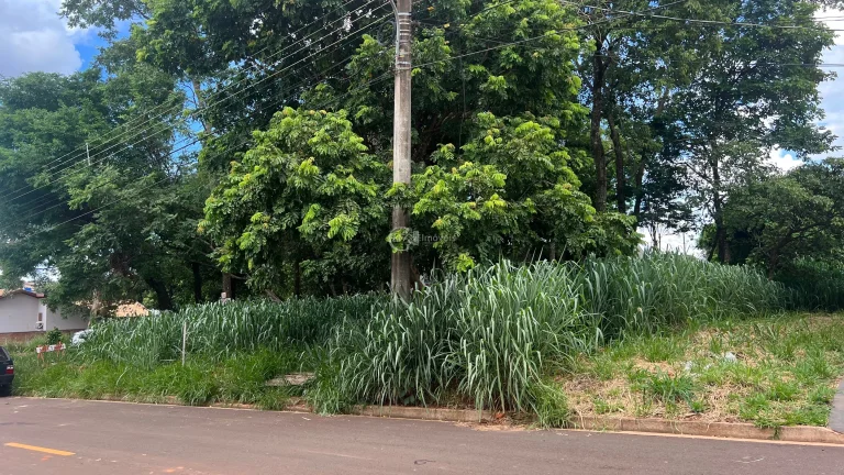 Imagem Investimento Exclusivo: Oportunidade Única nos Terrenos do Rita Vieira!