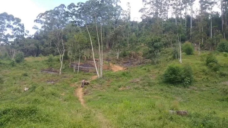 Imagem PROPRIEDADE COM.15.000M2 EM DEBOSSAM PRONTO PARA FAZER LOTEAMENTO