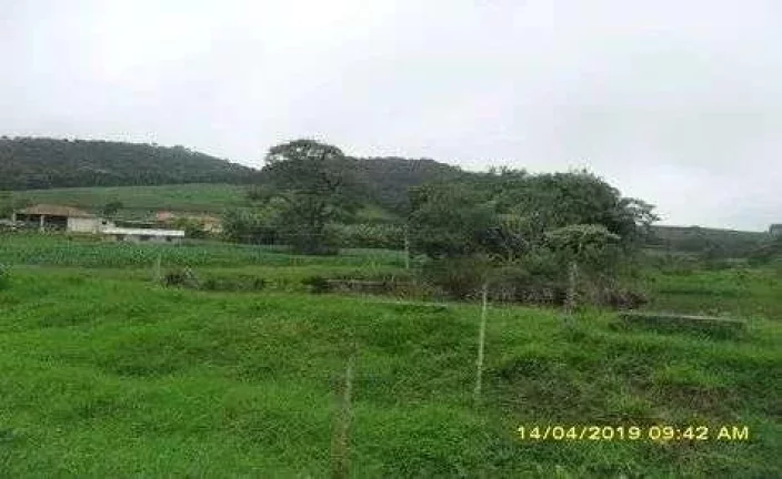 Imagem Fazenda Leiteira Completa e Produtiva com Estrutura de Alta Capacidade - Oportunidade Única em Antônio Carlos, MG