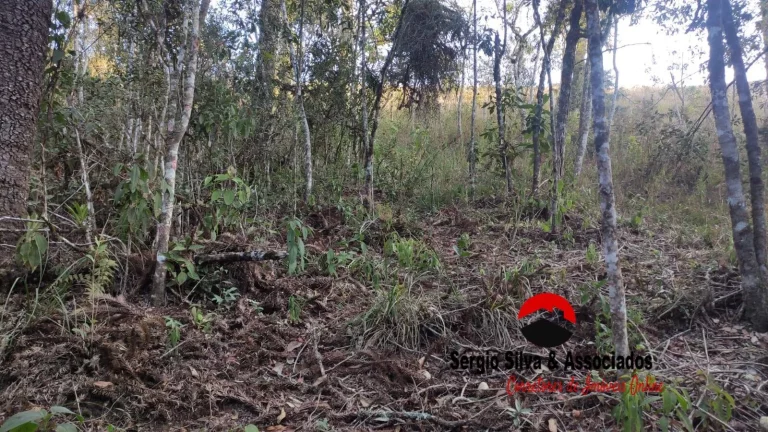 Imagem Terreno a venda na região do Descansópolis em Campos do Jordão - SP