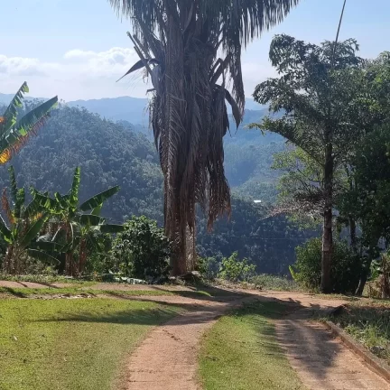 Imagem SITIO RESIDENCIAL em DOMINGOS MARTINS - ES, DOMINGOS MARTINS
