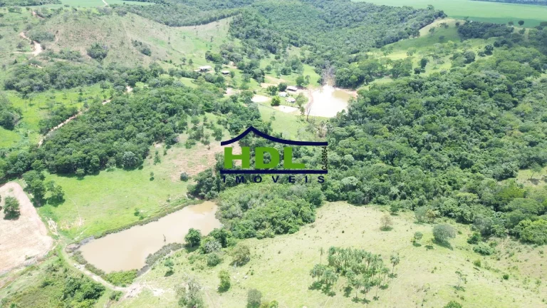 Imagem Fazenda Top para Criação de Gado 100 Kms de Goiânia