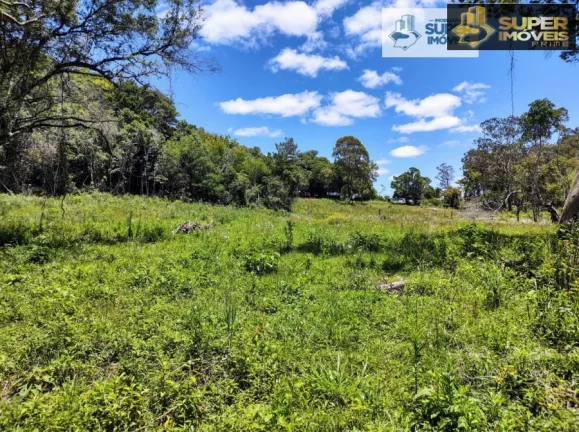 Imagem Chácara 3 hectares para Venda na BR em Cascata Pelotas-RS