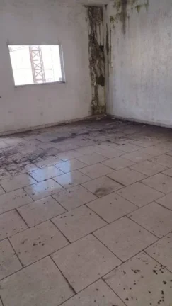 Imagem Alugo Galpão em Santo André, Vila Vilma
