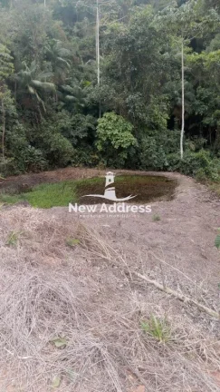 Imagem Terreno com 11.500 m², Platô Pronto, Lago e Nascente à Venda em Domingos Martins