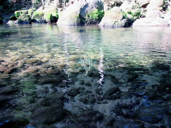 Imagem Casa em Condomínio à Venda no Horto Florestal - Ubatuba/SP.