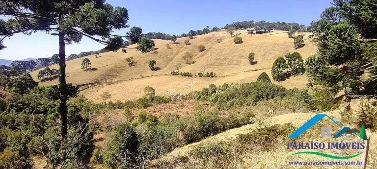 Imagem Conecte-se à Natureza: Terreno Rural com Nascente e Vista Panorâmica!