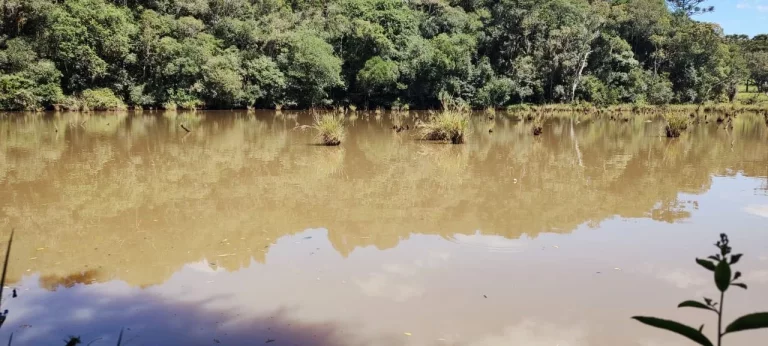 Imagem TERRENO RURAL em CAMPO BELO DO SUL - SC, Área Rural