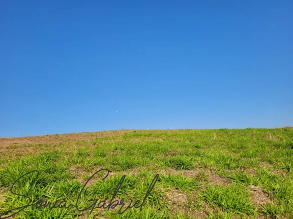 Imagem Terreno à venda em condomínio de alto padrão em Itupeva-SP: 870,27 m² na Reserva Santa Monica! Imagem Terreno à venda em condomínio de alto padrão em Itupeva-SP: 870,27 m² na Reserva Santa Monica!