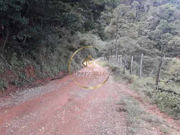 Imagem Sitio com 7 alqueires, Casa de 4 Dormitórios, Monteiro Lobato.