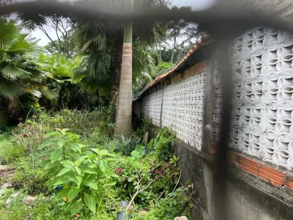 Imagem Terreno, 492 m² - venda por R$ 1.500.000,00 ou aluguel por R$ 6.098,47/mês - Vila Maria de Maggi - Suzano/SP